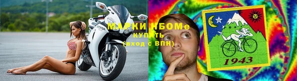трава Беломорск