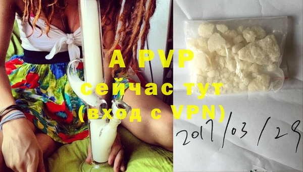 амф Белокуриха