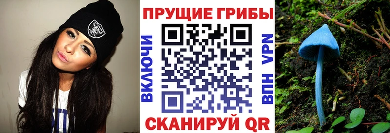 Псилоцибиновые грибы Psilocybine cubensis  Майкоп 
